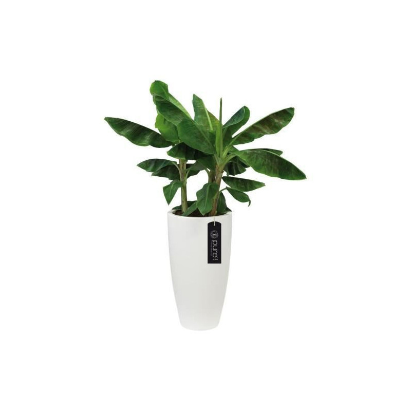 Image secondaire de Pot Elho Blanc Plastique Rond Ø 35 cm Ø 34,5 x 61,5 cm