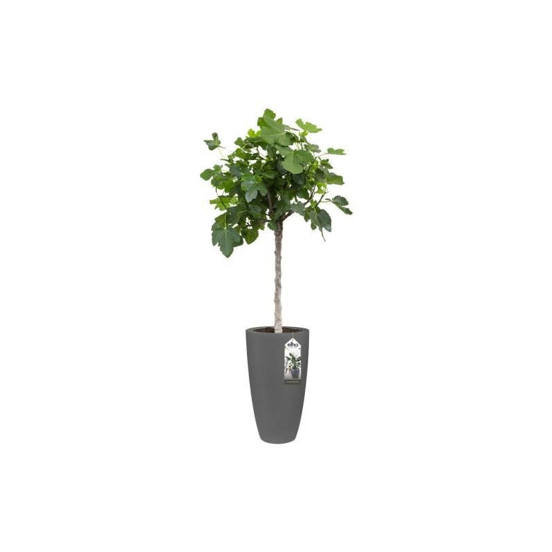 Image secondaire de Pot Elho 8400212542500 Anthracite Plastique Rond Ø 35 cm Ø 34,5 x 61,5 cm