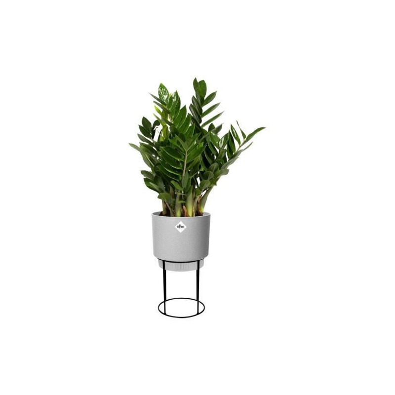 Image secondaire de Pot Elho Gris Plastique Avec support Ronde (Ø 22 x 38,2 cm)