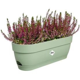 Gris - Mini pots de fleurs en plastique en forme de Aliments à arrosage  automatique, Pots de plantes, Pots dé - Cdiscount Jardin