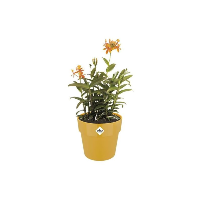 Image secondaire de Pot Elho 9262302511800 Ocre Plastique Rond Ø 24,7 x 23,2 cm