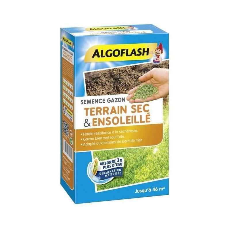 Graines Algoflash SEMSOL1