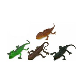 animaux Reptiles Lot 25 x 18 cm 27,99 €