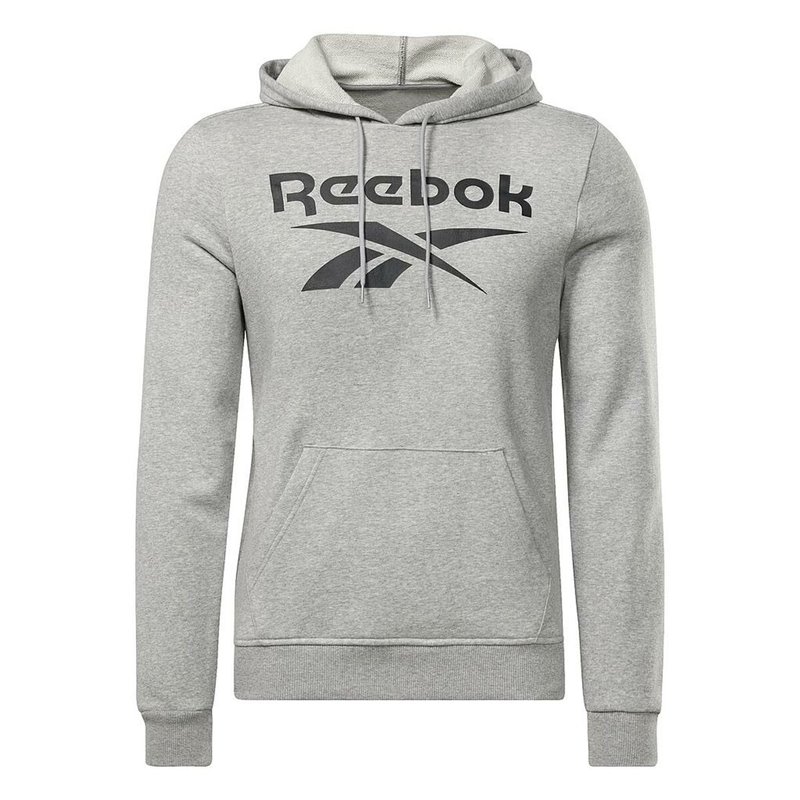 Sweat à capuche homme Reebok FT BIG LOGO OTH HZ8786 Gris