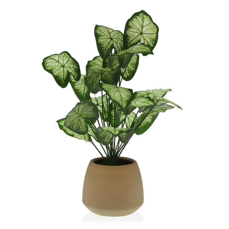 Plante décorative Versa 15 x 52 x 15 cm Ciment Plastique