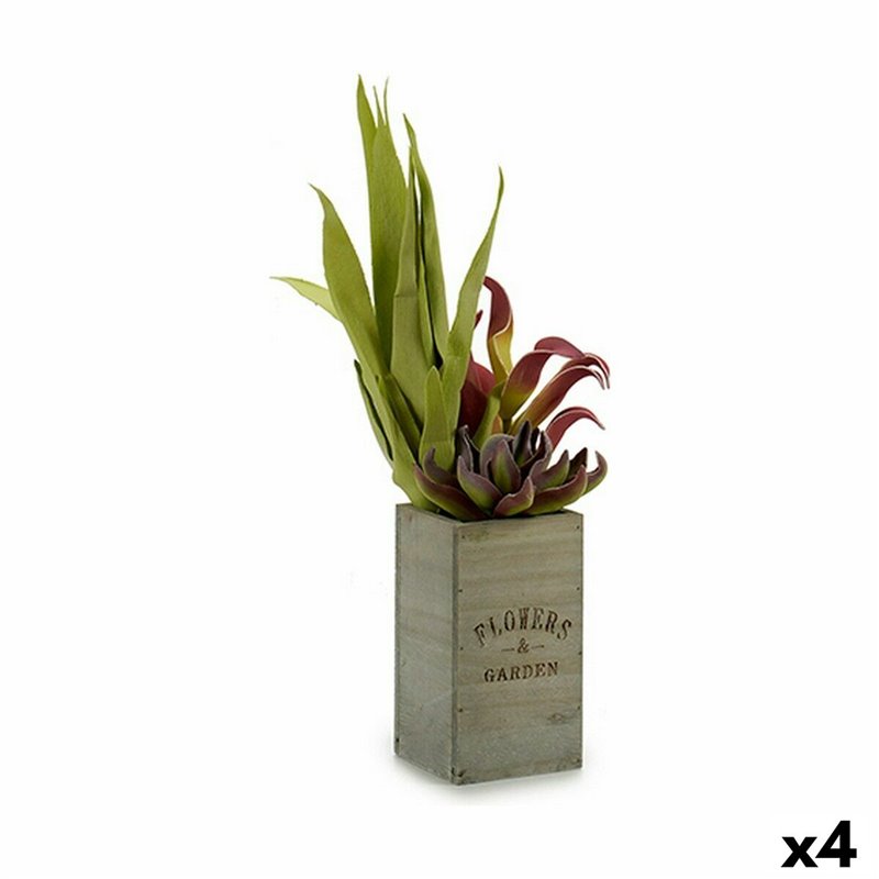 Plante décorative Flowers Garden Marron Vert 10 x 50 x 10 cm (4 Unités)