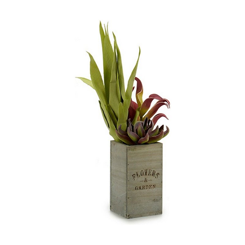 Image secondaire de Plante décorative Flowers Garden Marron Vert 10 x 50 x 10 cm (4 Unités)