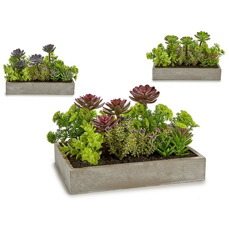 Image secondaire de Plante décorative Succulent Plastique Ciment 16,5 x 20 x 28,5 cm (6 Unités)