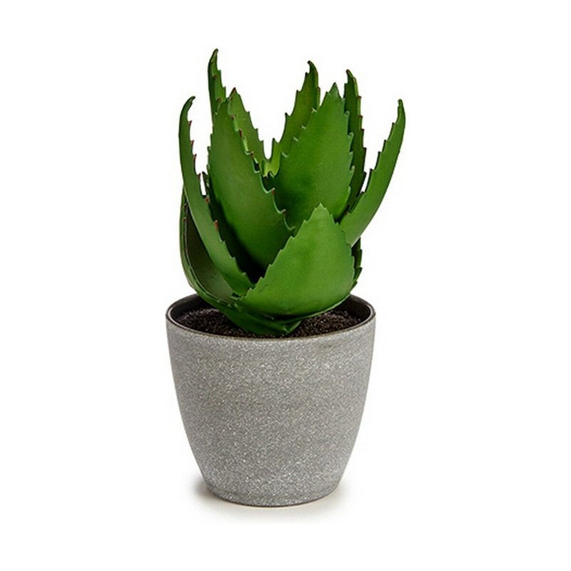 Image secondaire de Plante décorative Aloe Vera 15 x 23,5 x 15 cm Gris Vert Plastique (6 Unités)