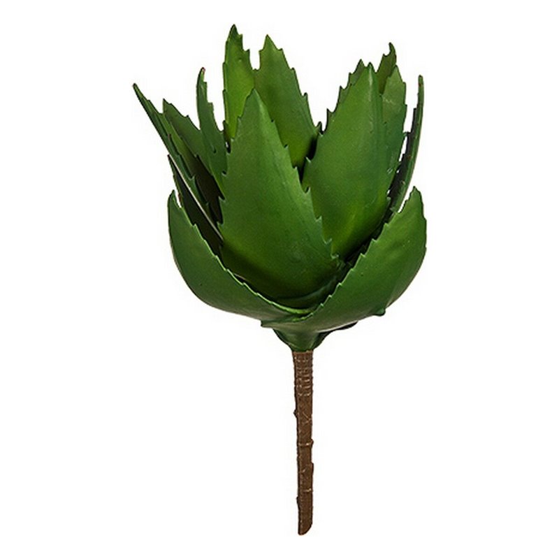 Image secondaire de Plante décorative Aloe Vera 13 x 24,5 x 14 cm Vert Plastique (6 Unités)