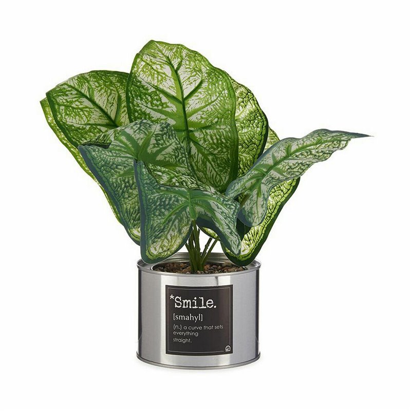 Image secondaire de Plante décorative Caladium Métal Plastique 26 x 26 x 26 cm (6 Unités)