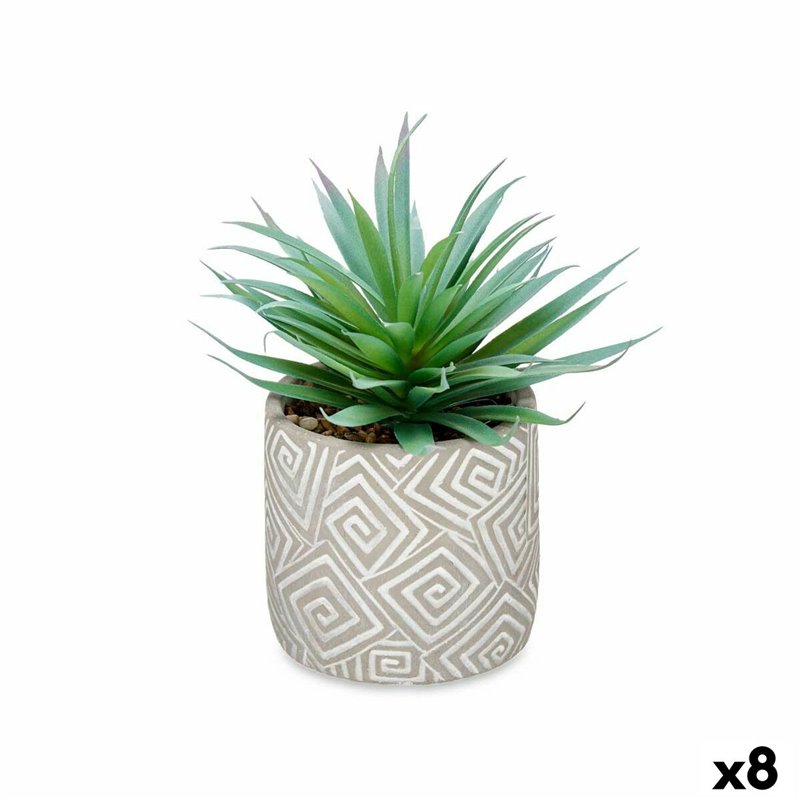 Plante décorative Succulent Bois Plastique 17 x 21 x 17 cm (8 Unités)