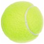Balles de Tennis Dunlop 601316 Jaune 170,99 €
