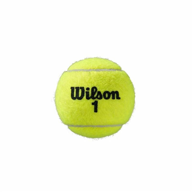 Image secondaire de Balles de Tennis Wilson Roland Garros All Court Jaune