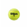 Balles de Tennis Wilson Roland Garros All Court Jaune 21,99 €