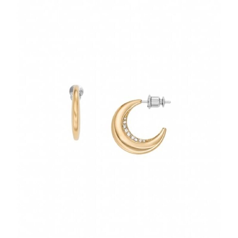 Boucles d'oreilles Femme Skagen SKJ1611710