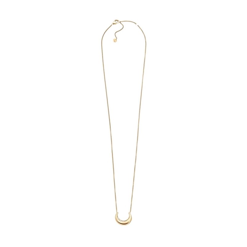 Collier Femme Skagen SKJ1614710