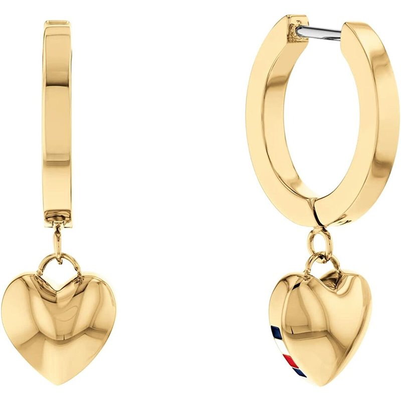 Boucles d'oreilles Femme Tommy Hilfiger Acier inoxydable 2,5 cm