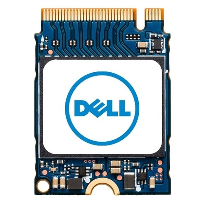 Dell AB673817 disque SSD M.2 1 To PCI Express NVMe