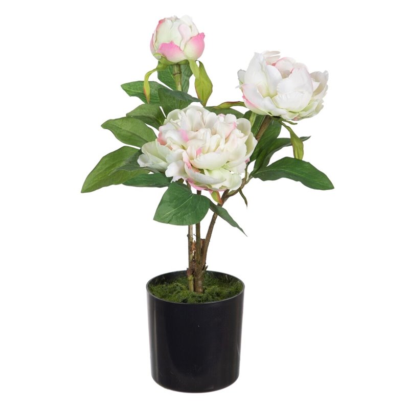 Plante décorative 24 x 20 x 38 cm Crème Pivoine