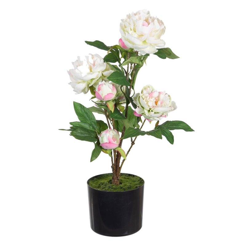 Plante décorative 34 x 30 x 59 cm Crème Pivoine