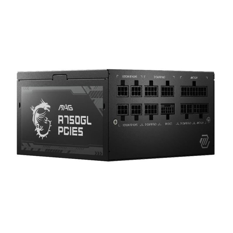 MSI MAG A750GL PCIE5 unité d'alimentation d'énergie 750 W 20+4 pin ATX ATX Noir