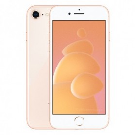 iPhone 8 64 Go or (reconditionné B) 202,99 €