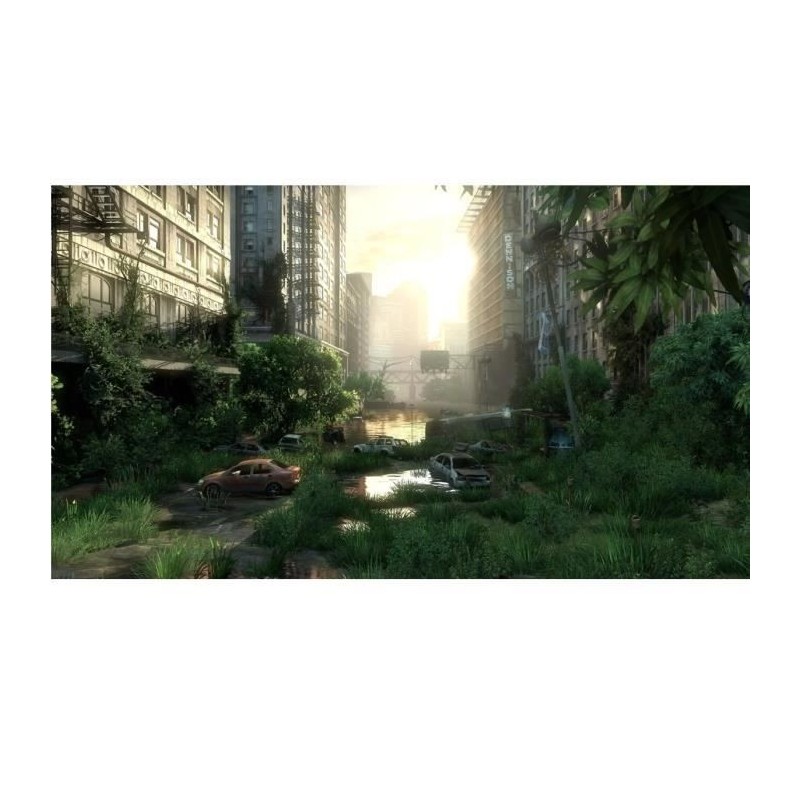 Image secondaire de Sony Interactive Entertainment The Last of Us - Remastered - PLAYSTATION HITS PlayStation 4