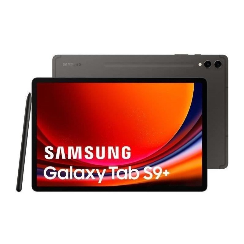 Samsung Galaxy Tab S9+ SM-X810N 256 Go 31,5 cm (12.4