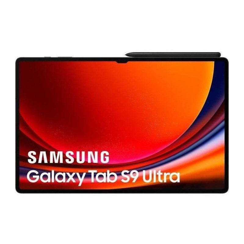 Image secondaire de Tablette Samsung Galaxy Tab S9 12 GB RAM 14,6