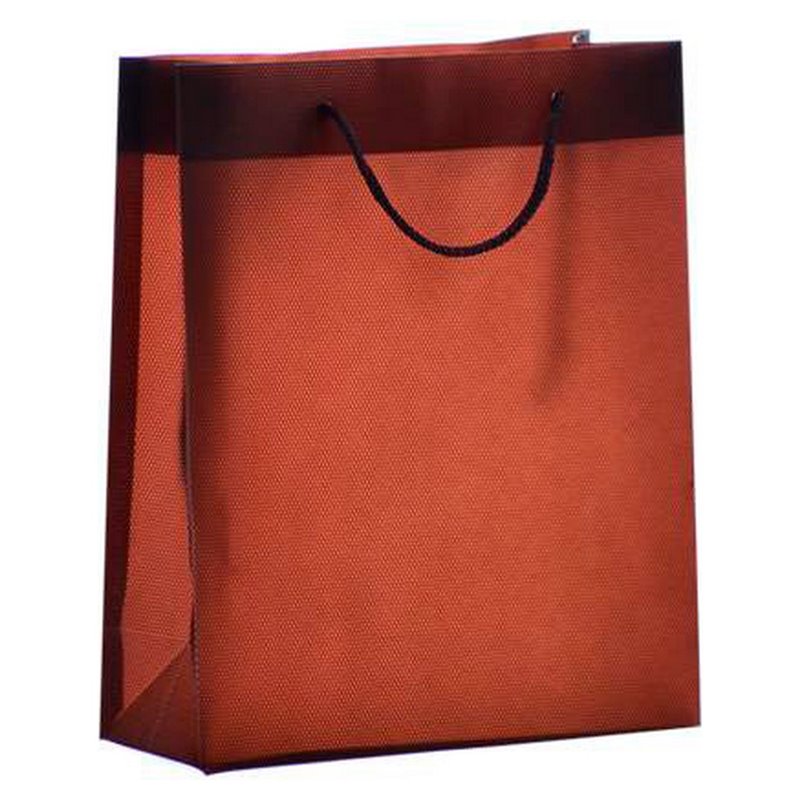 Sac Plastique (7,5 x 22 x 18 cm)