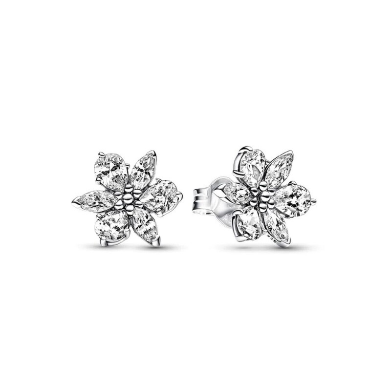 Boucles d'oreilles Femme Pandora 292633C01