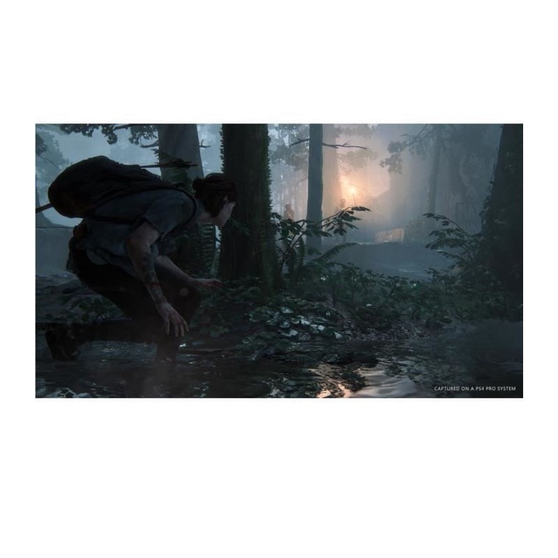 Image secondaire de Jeu vidéo PlayStation 4 Naughty Dog The Last of Us: Part 2