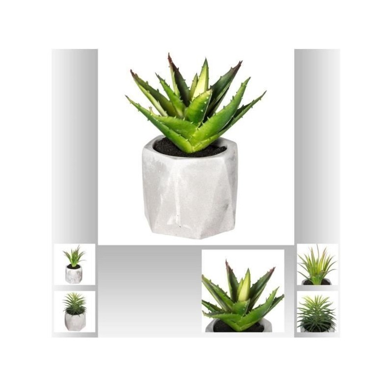 Plante décorative Atmosphera 7 x 14 cm Vert PVC