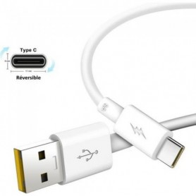 Pour Samsung Galaxy S10e : Câble USB-C Certifié Fast Charge 5A