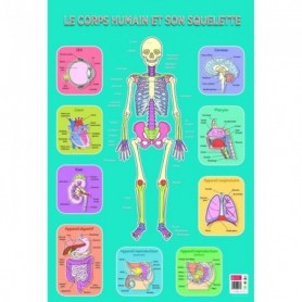 Poster pédagogique - Squelette Humain - 52 x 76 cm 52 cm