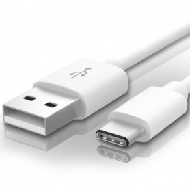 Net Solutions ® Câble USB Type C Câble Charge et Données (100cm) pour