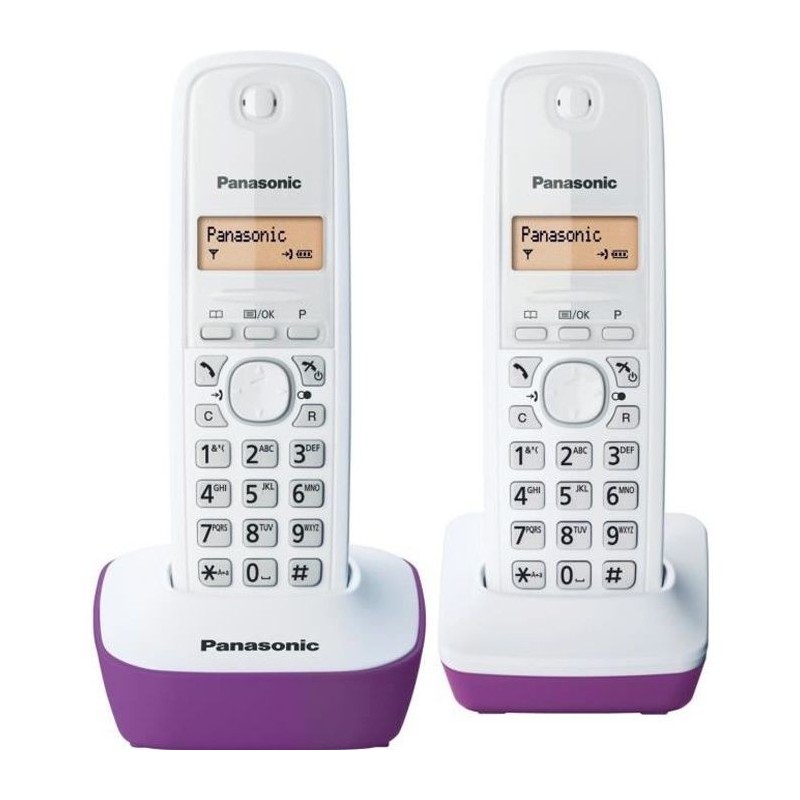 Téléphone Sans Fil Panasonic KX-TG1612FRF Violet