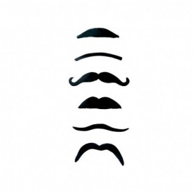 Lot de 6 moustaches adulte