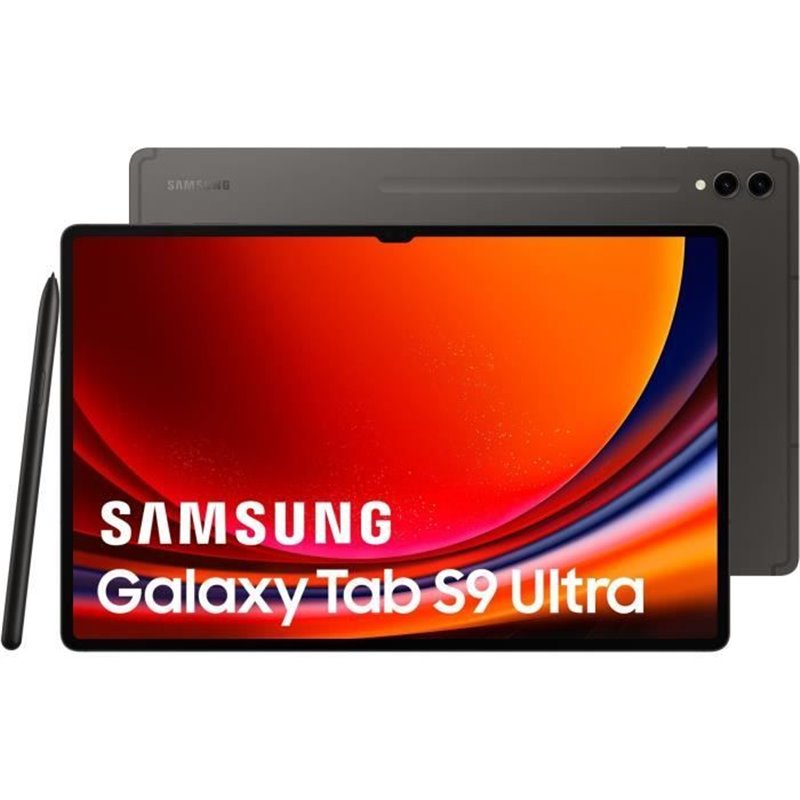 Samsung Galaxy Tab S9 Ultra SM-X910N 256 Go 37,1 cm (14.6