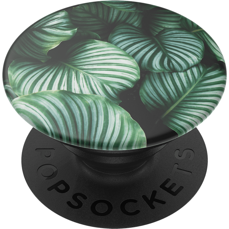 Pop Grip Gén 2 Leafy Greens Popsockets