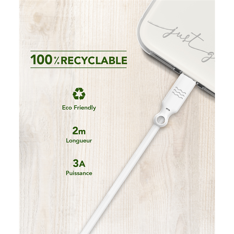 Image secondaire de Câble Recyclable USB A/USB C 2m Blanc Just Green