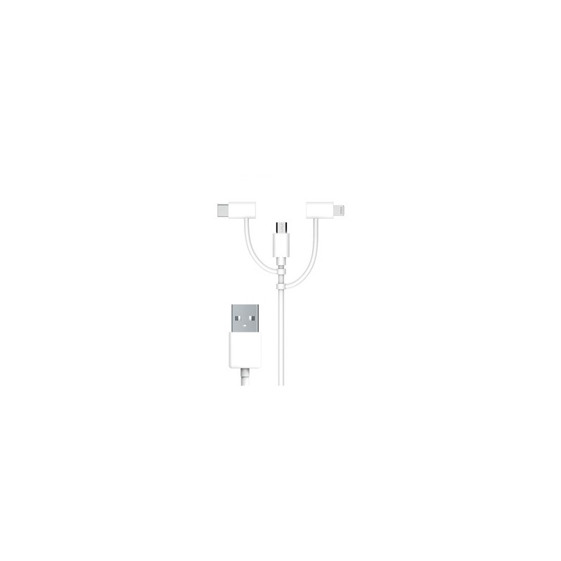 Câble 3 En 1 Input USB-A 1M Blanc