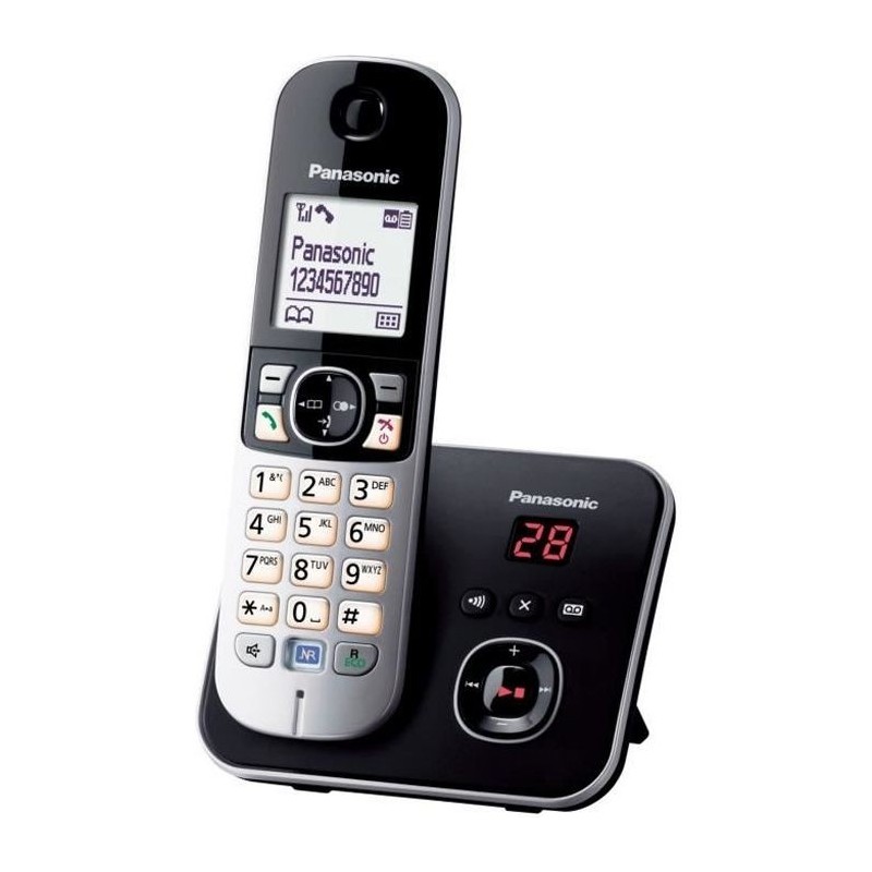 Téléphone Sans Fil Panasonic KX-TG6821FRB Noir Gris