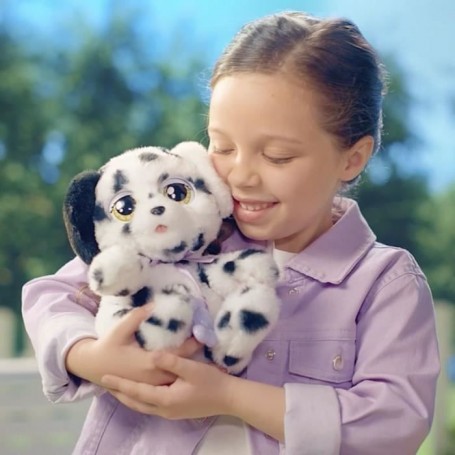 baby paws bebe chien dalmatien