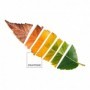 Housse de Couette Leaf Pantone Lit de 135 (220 x 220 cm)
