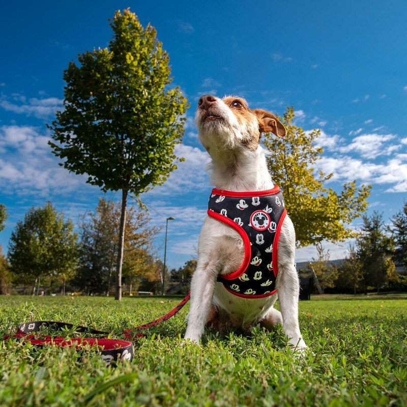 Image secondaire de Harnais pour Chien Mickey Mouse S/M Noir