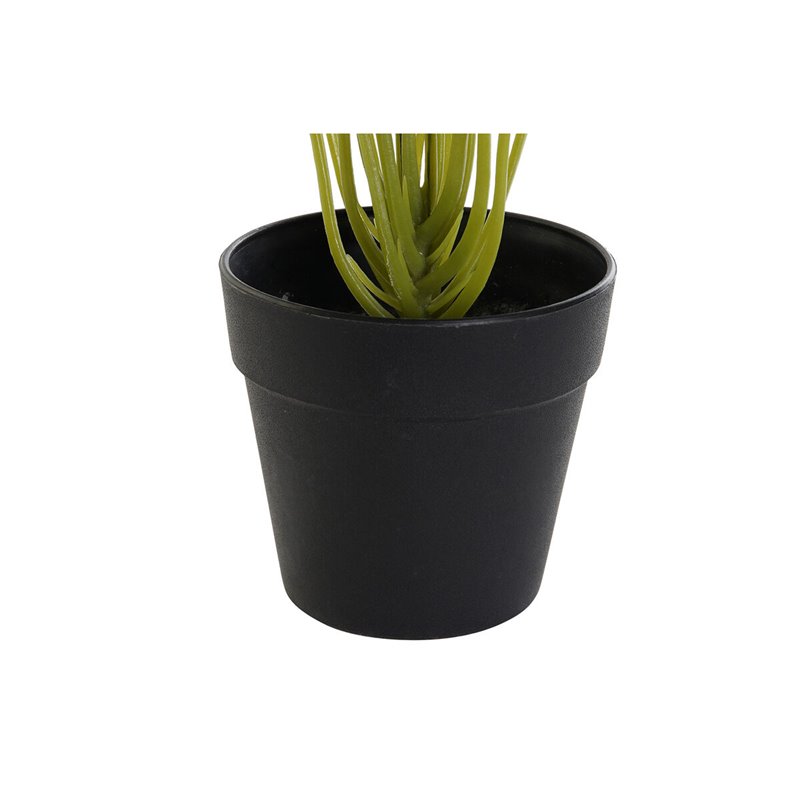 Image secondaire de Plante décorative DKD Home Decor PVC polypropylène 25 x 25 x 30 cm