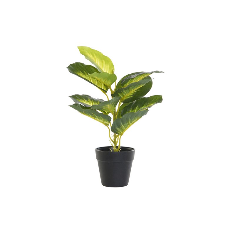 Plante décorative DKD Home Decor PVC polypropylène 25 x 25 x 30 cm