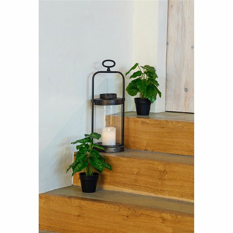 Image secondaire de Plante décorative DKD Home Decor PVC polypropylène 20 x 20 x 30 cm